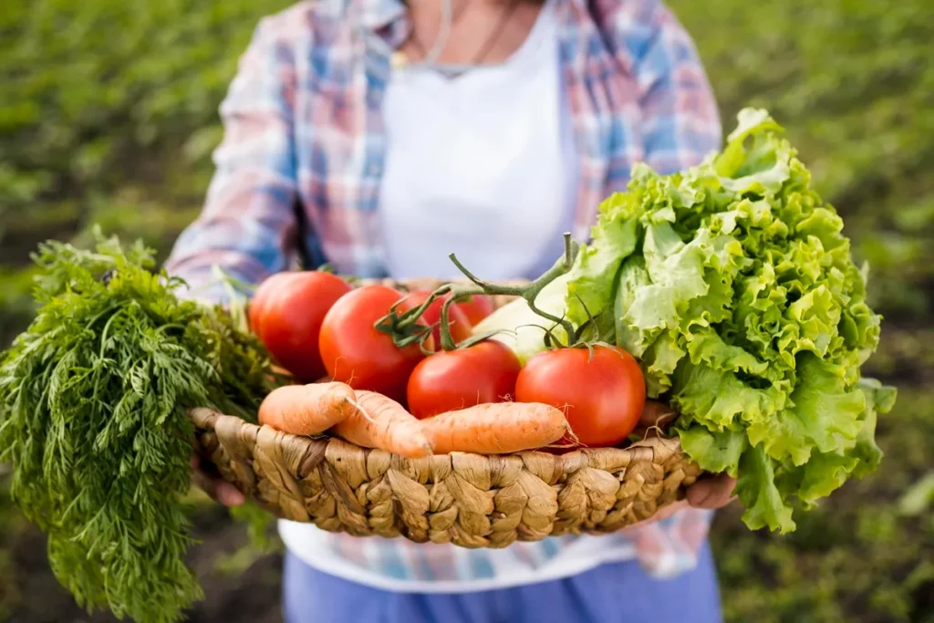 Pessoa segurando cesta de palha com tomates, cenouras e alface frescos colhidos da horta