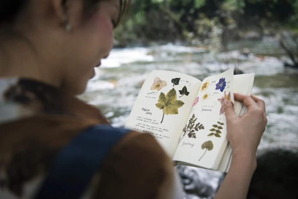 Pessoa observando caderno de anotações com folhas e flores prensadas catalogadas