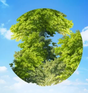 Ilustração criativa do planeta Terra representado por árvores verdes em forma circular contra um céu azul com nuvens.