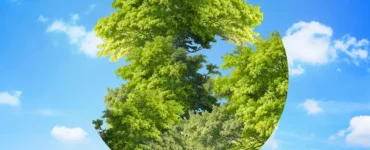 Ilustração criativa do planeta Terra representado por árvores verdes em forma circular contra um céu azul com nuvens.