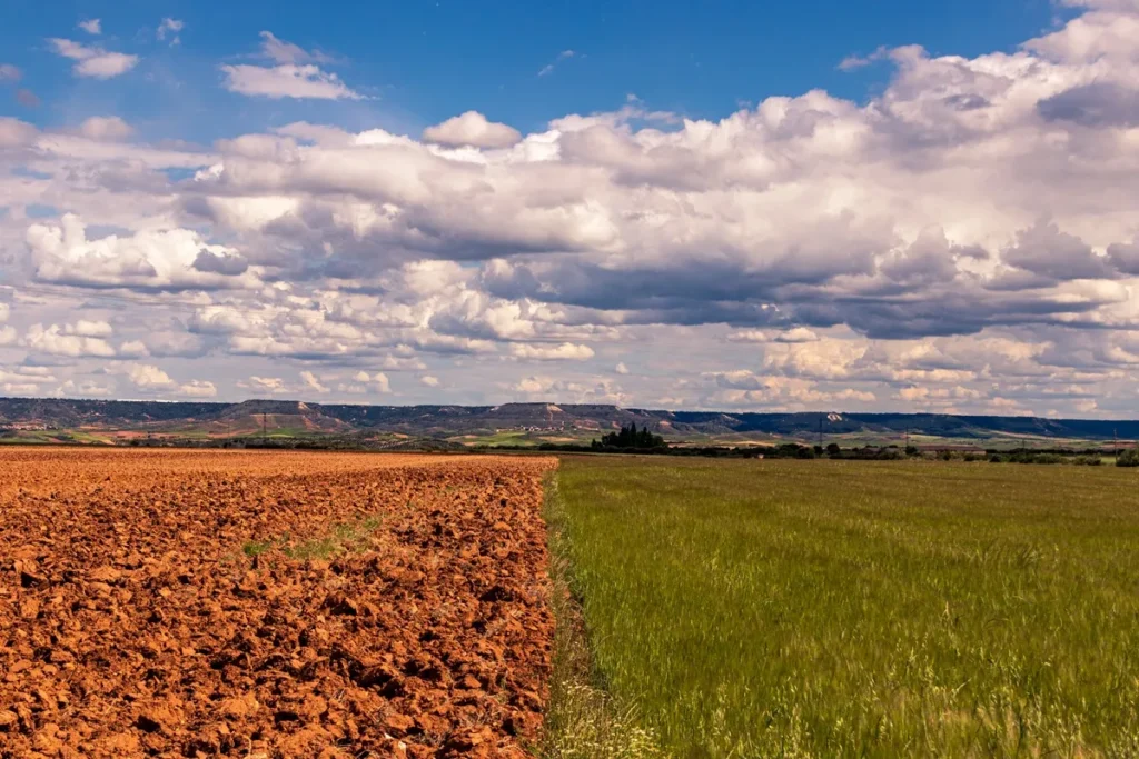Vista de campo agrícola no Sudeste do Brasil mostrando solo arado de um lado e vegetação verde do outro, sob céu parcialmente nublado