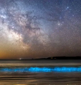 Mar com ondas bioluminescentes brilhando em azul sob um céu estrelado e a Via Láctea visível.