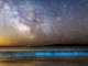 Mar com ondas bioluminescentes brilhando em azul sob um céu estrelado e a Via Láctea visível.