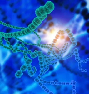Imagem microscópica mostrando cadeias de bactérias esféricas em tons de verde sobre fundo azul, com luz brilhante ao centro, representando microrganismos e processos biológicos.
