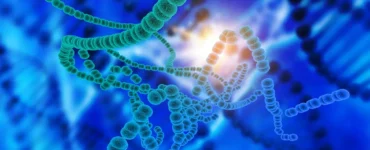 Imagem microscópica mostrando cadeias de bactérias esféricas em tons de verde sobre fundo azul, com luz brilhante ao centro, representando microrganismos e processos biológicos.