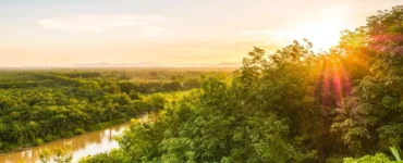 Imagem de uma agrofloresta banhada pela luz do pôr do sol, com árvores verdes, um rio serpenteando ao centro e o céu dourado ao fundo.