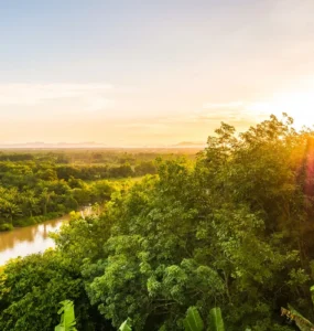 Vista panorâmica de uma floresta tropical densa com rio serpenteando entre as árvores, iluminada pelo sol dourado do fim da tarde, representando o clima equatorial.