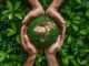 Mãos humanas segurando um globo coberto de musgo, representando o planeta Terra em meio a folhas verdes, simbolizando a preservação ambiental e o cuidado com a natureza