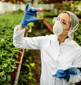 Pesquisadora analisando amostra de planta em laboratório agrícola, usando máscara, luvas e jaleco em estufa com cultivo verde.