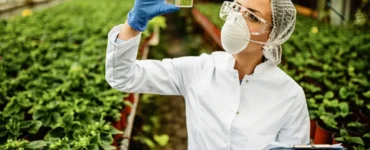 Pesquisadora analisando amostra de planta em laboratório agrícola, usando máscara, luvas e jaleco em estufa com cultivo verde.