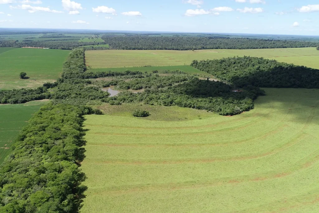 Vista aérea mostrando corredores ecológicos de vegetação nativa conectando áreas agrícolas, com campos verdes e fragmentos de floresta ao redor de um corpo d’água.