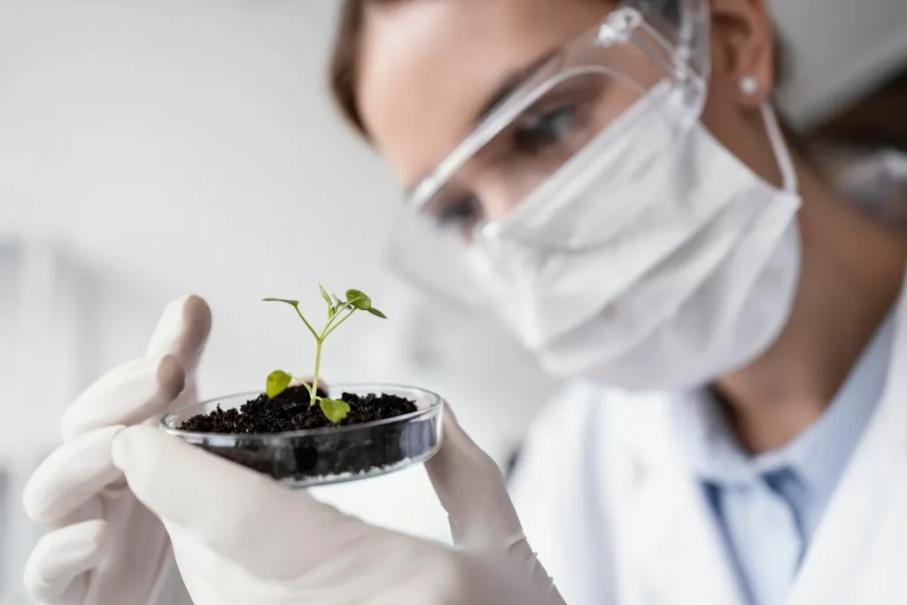 Cientista com máscara, luvas e óculos de proteção observando uma pequena planta crescendo em solo dentro de uma placa de Petri, em laboratório.