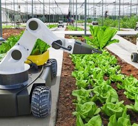 Robôs empregados na Agricultura 4.0