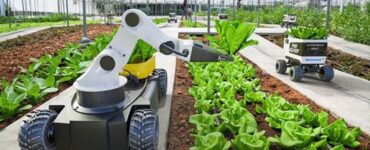 Robôs empregados na Agricultura 4.0