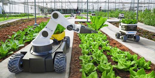 Robôs empregados na agricultura 4.0
