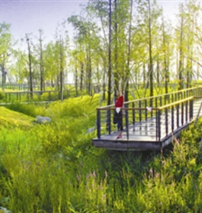 Parque Shuanggudu em Ningbo, China, projetado para ser “esponja”.