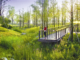 Parque Shuanggudu em Ningbo, China, projetado para ser “esponja”.