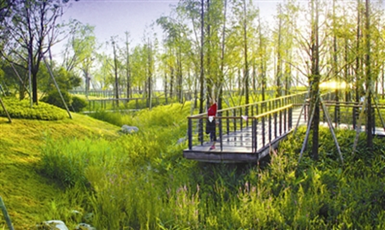 Parque Shuanggudu em Ningbo, China, projetado para ser “esponja”.