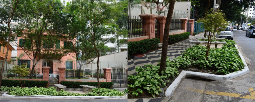 Jardins de chuva na cidade de São Paulo.