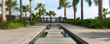 Caminho de pedras sobre espelho d’água rodeado por palmeiras altas e vegetação tropical em um projeto de arquitetura paisagística moderna.