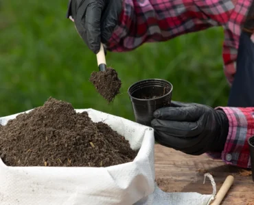 Imagem de uma pessoa usando luvas pretas enquanto coloca substrato orgânico em pequenos vasos de plástico preto para o plantio de mudas.