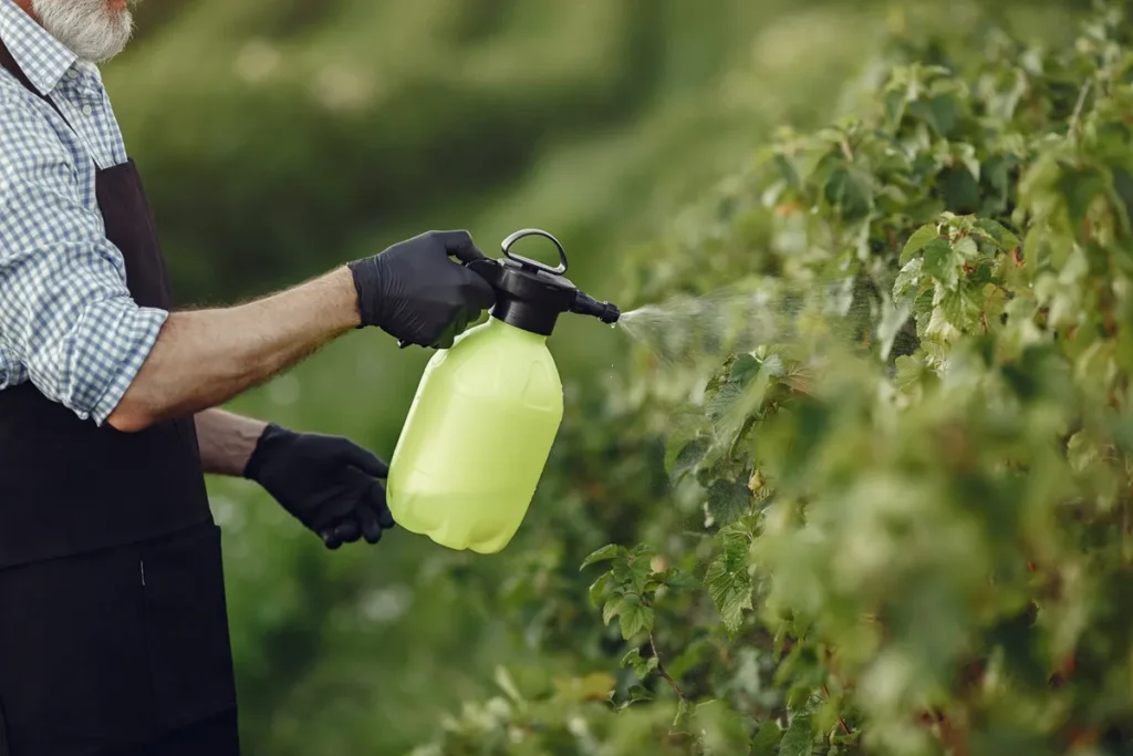 Imagem de um agricultor aplicando biofertilizante líquido em plantações verdes usando um pulverizador manual verde-limão, simbolizando o cultivo sustentável.