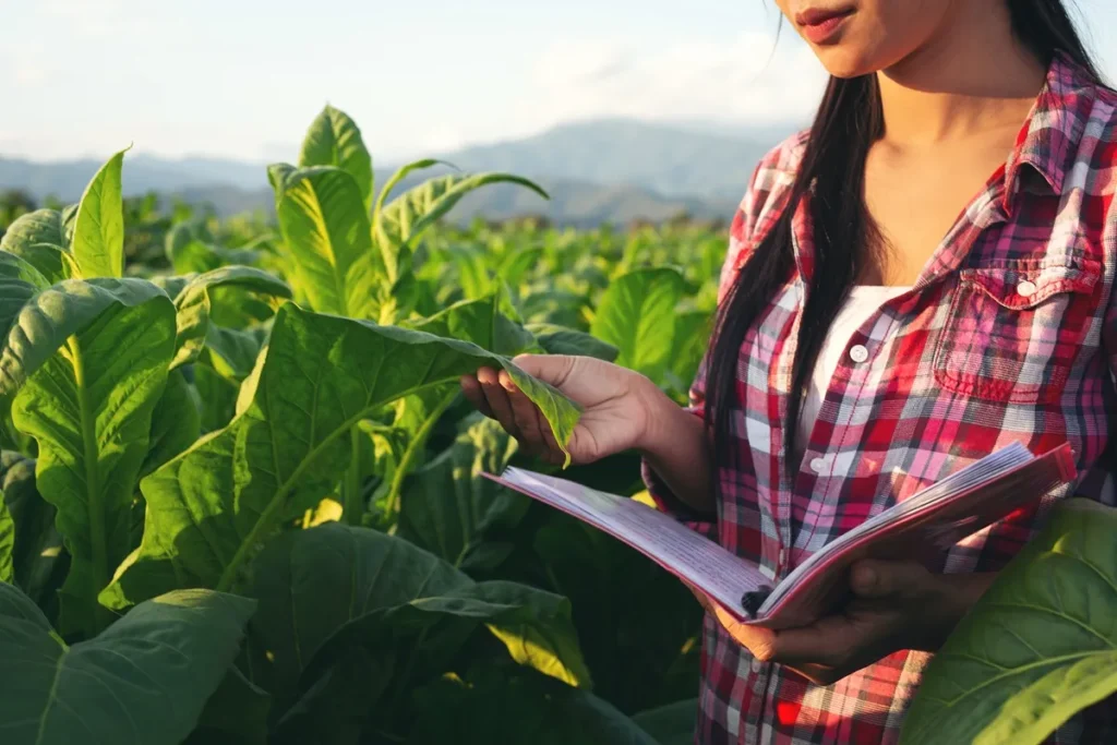 Mulher de camisa xadrez observando folhas verdes de uma plantação e fazendo anotações em um caderno, representando práticas agrícolas sustentáveis e manejo consciente do cultivo.