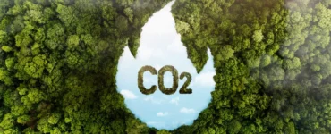 Vista aérea de uma floresta com uma área desmatada em forma de chama revelando o texto CO₂ no centro.