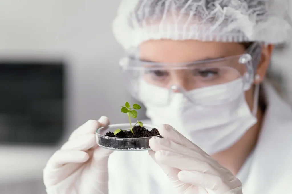 Pesquisadora analisando muda de planta em placa de Petri com solo, em laboratório de biotecnologia.
