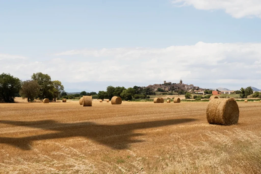 Campo rural com grandes fardos de feno cilíndricos espalhados, árvores ao redor e uma vila histórica sobre uma colina ao fundo sob céu claro.