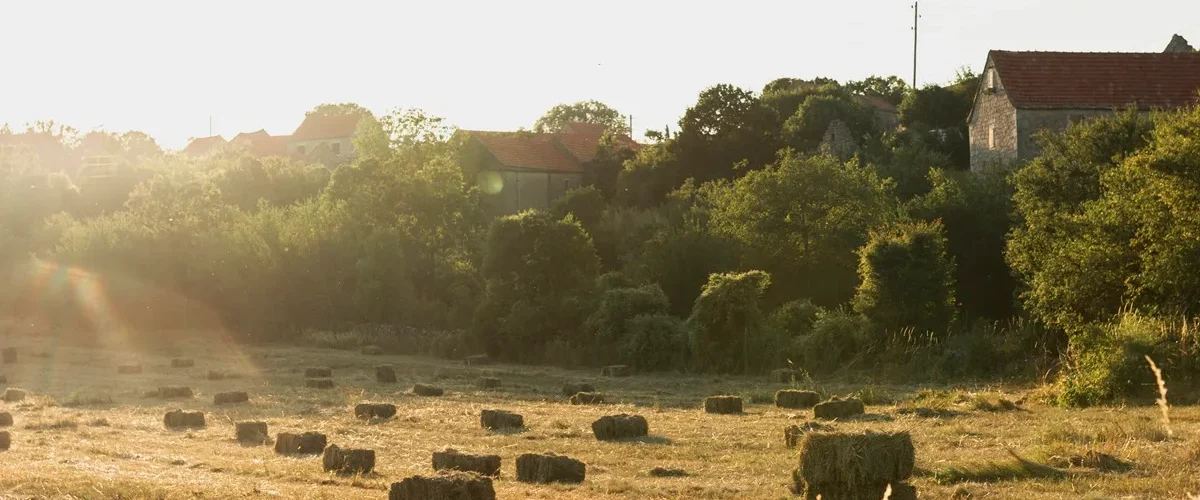 Campo rural ao entardecer com fardos de feno espalhados pelo chão, árvores verdes ao fundo e casas de pedra com telhados vermelhos.