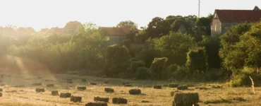 Campo rural ao entardecer com fardos de feno espalhados pelo chão, árvores verdes ao fundo e casas de pedra com telhados vermelhos.