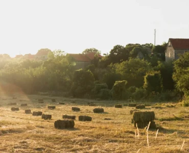 Campo rural ao entardecer com fardos de feno espalhados pelo chão, árvores verdes ao fundo e casas de pedra com telhados vermelhos.
