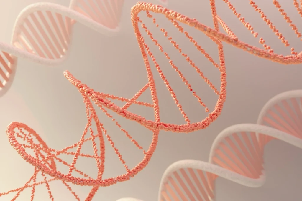 Ilustração em 3D de fitas de DNA em cor salmão, mostrando a dupla hélice e suas bases.