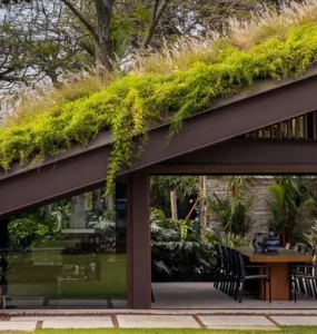 Casa moderna com telhado verde coberto por vegetação, integrando área externa com jardim e espaço de convivência.