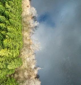 Vista aérea de floresta verde ao lado de rio, representando o ciclo da água e o equilíbrio dos ecossistemas