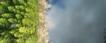 Vista aérea de floresta verde ao lado de rio, representando o ciclo da água e o equilíbrio dos ecossistemas