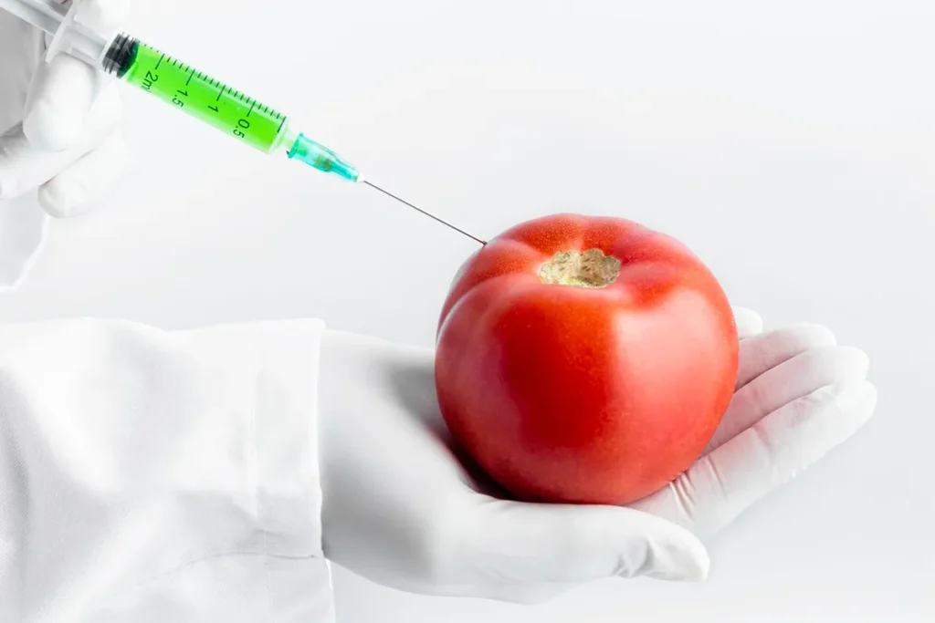 Cientista segurando um tomate enquanto injeta líquido verde com uma seringa, simbolizando modificação genética em alimentos.