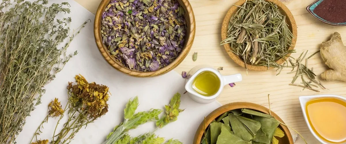 Variedade de plantas medicinais, ervas secas e óleos naturais dispostos sobre uma mesa de madeira para uso terapêutico.