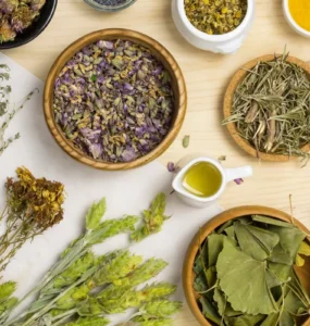Variedade de plantas medicinais, ervas secas e óleos naturais dispostos sobre uma mesa de madeira para uso terapêutico.