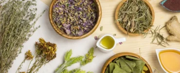 Variedade de plantas medicinais, ervas secas e óleos naturais dispostos sobre uma mesa de madeira para uso terapêutico.