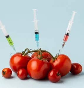 Tomates vermelhos sendo perfurados por seringas com líquidos coloridos, simbolizando alimentos geneticamente modificados.