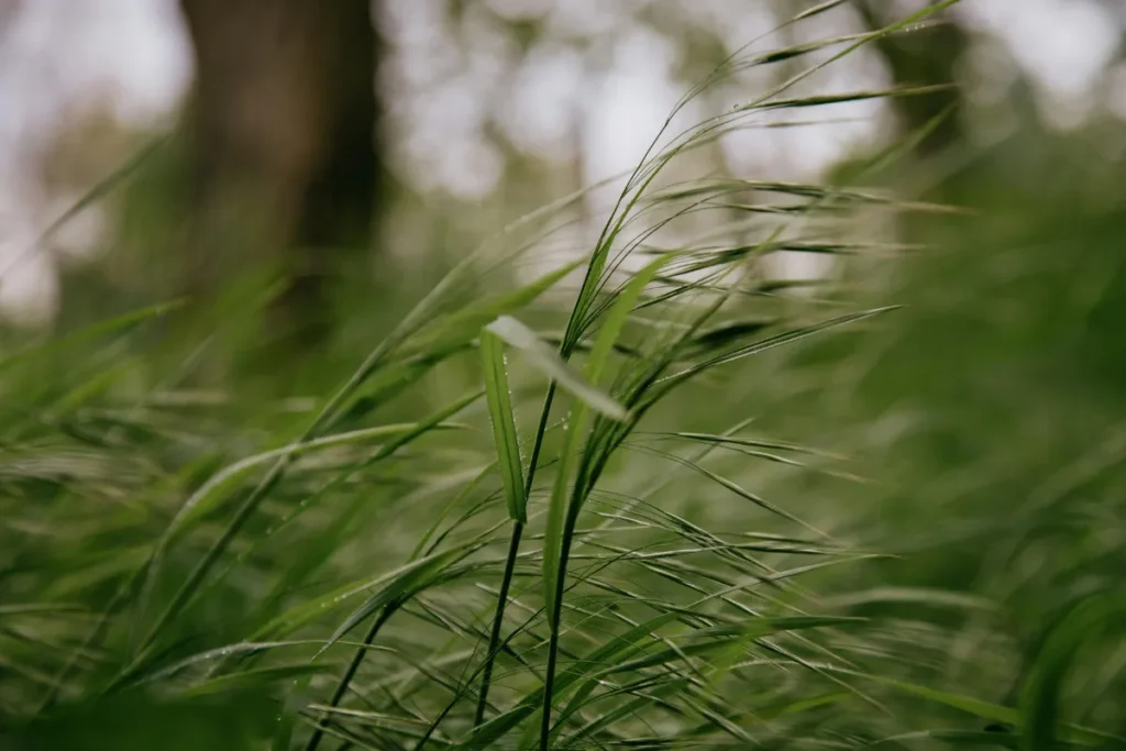 Circulação atmosférica