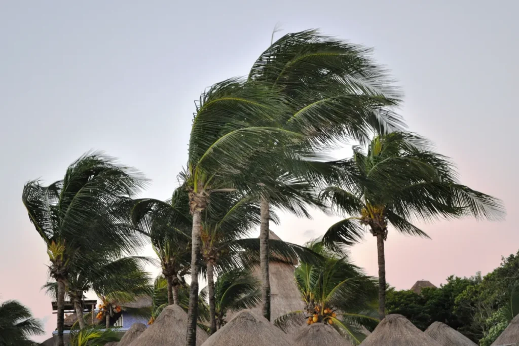 Circulação atmosférica