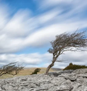 Circulação atmosférica