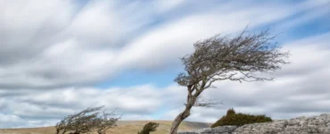 Circulação atmosférica