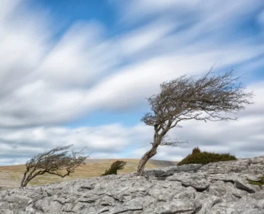 Circulação atmosférica