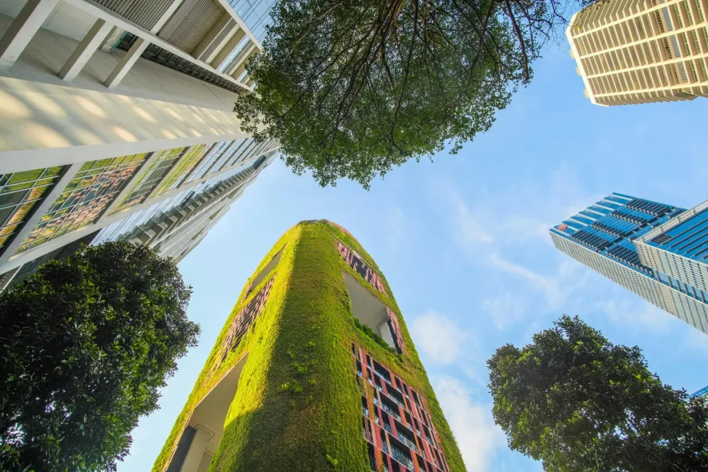 Prédios cobertos com plantas.