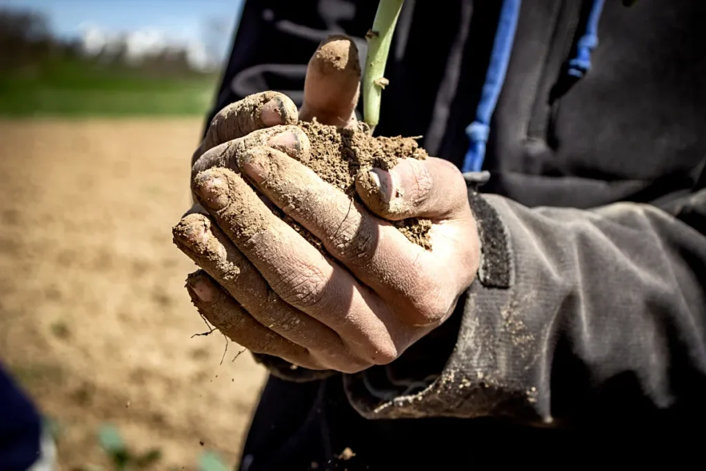Agricultura sustentável