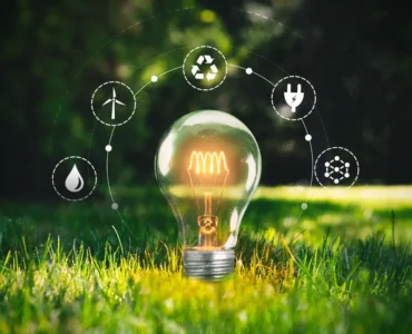 Agricultura sustentável